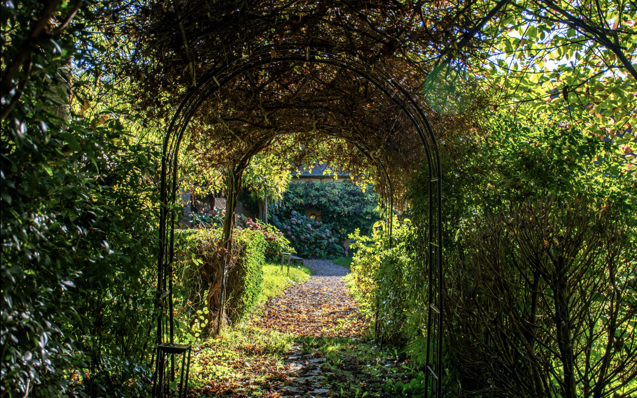 Domaine du Petit Tertre Parc