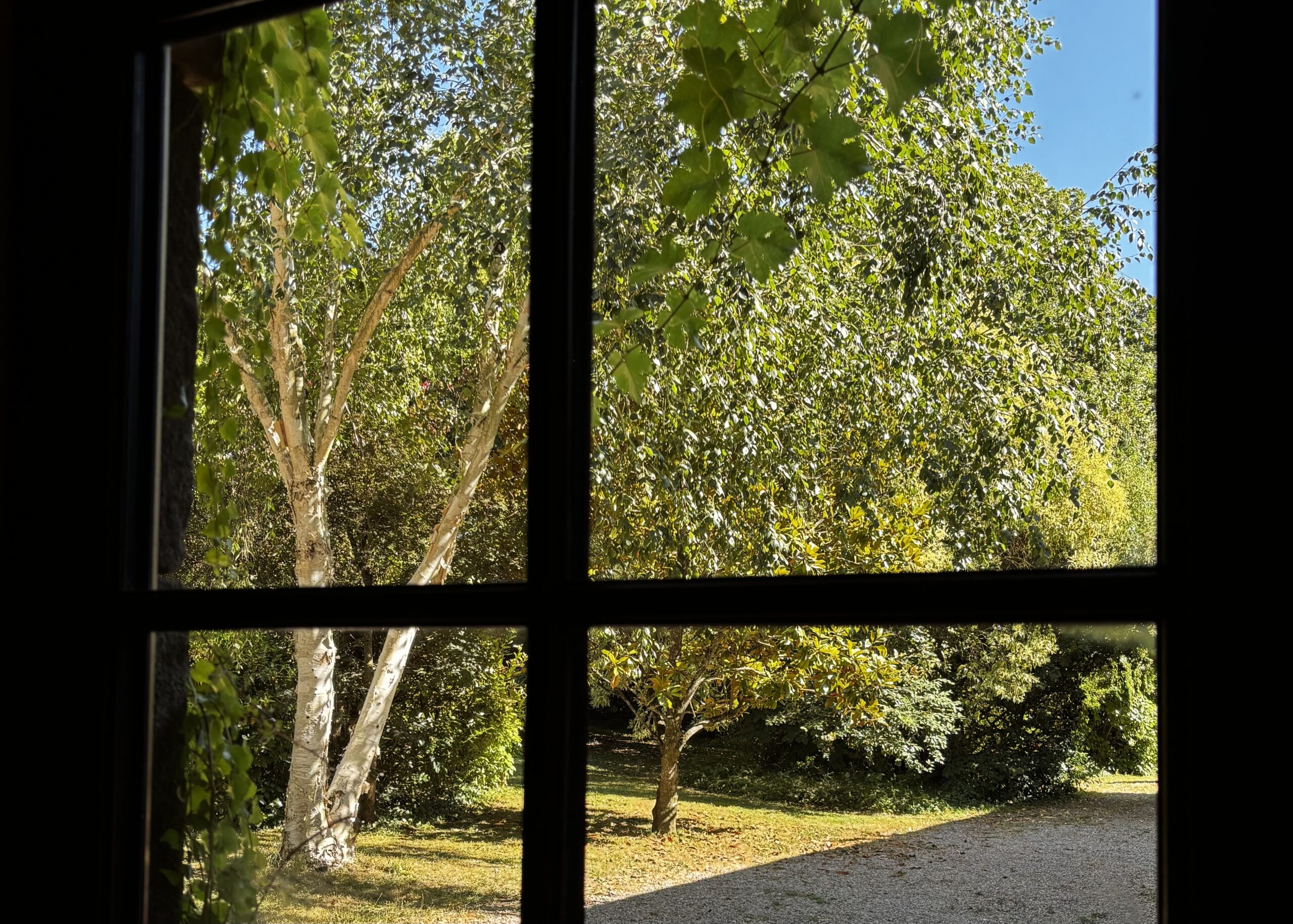 Domaine du Petit Tertre Chambre Blé vue