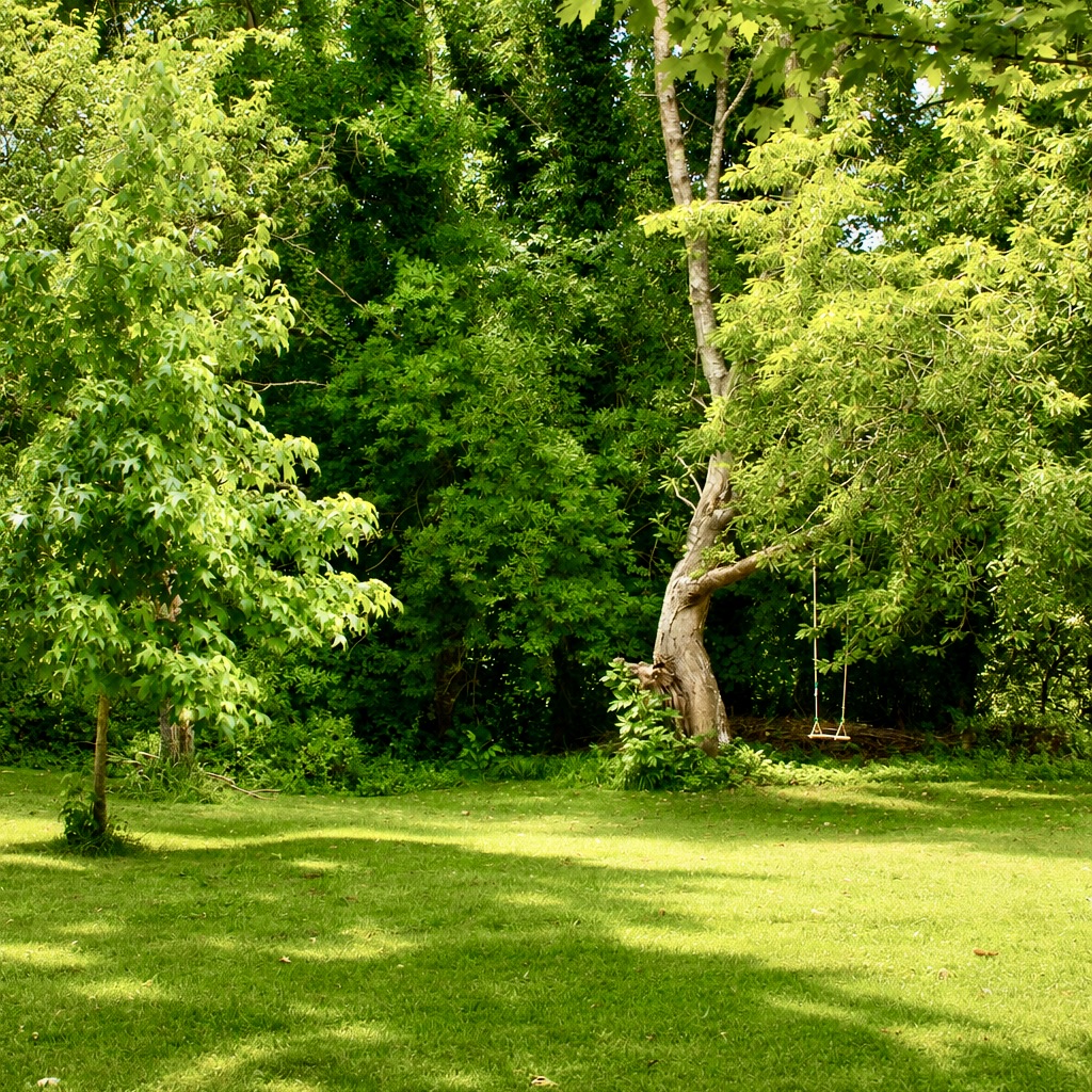 Domaine du Petit Tertre Parc